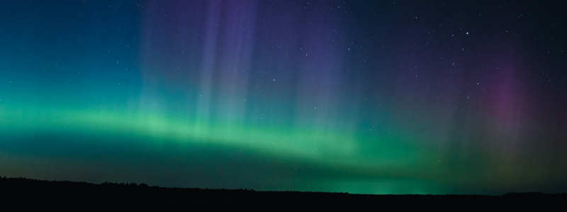 👑 main character needs a title 👑 (2)